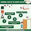 Herbal Strategi Rat Repellent Aerosol Spray - Natural, Vegan & Eco-Friendly | 100% Herbal and Chemical free | Baby and Pet safe | Ayush certified | 200ml