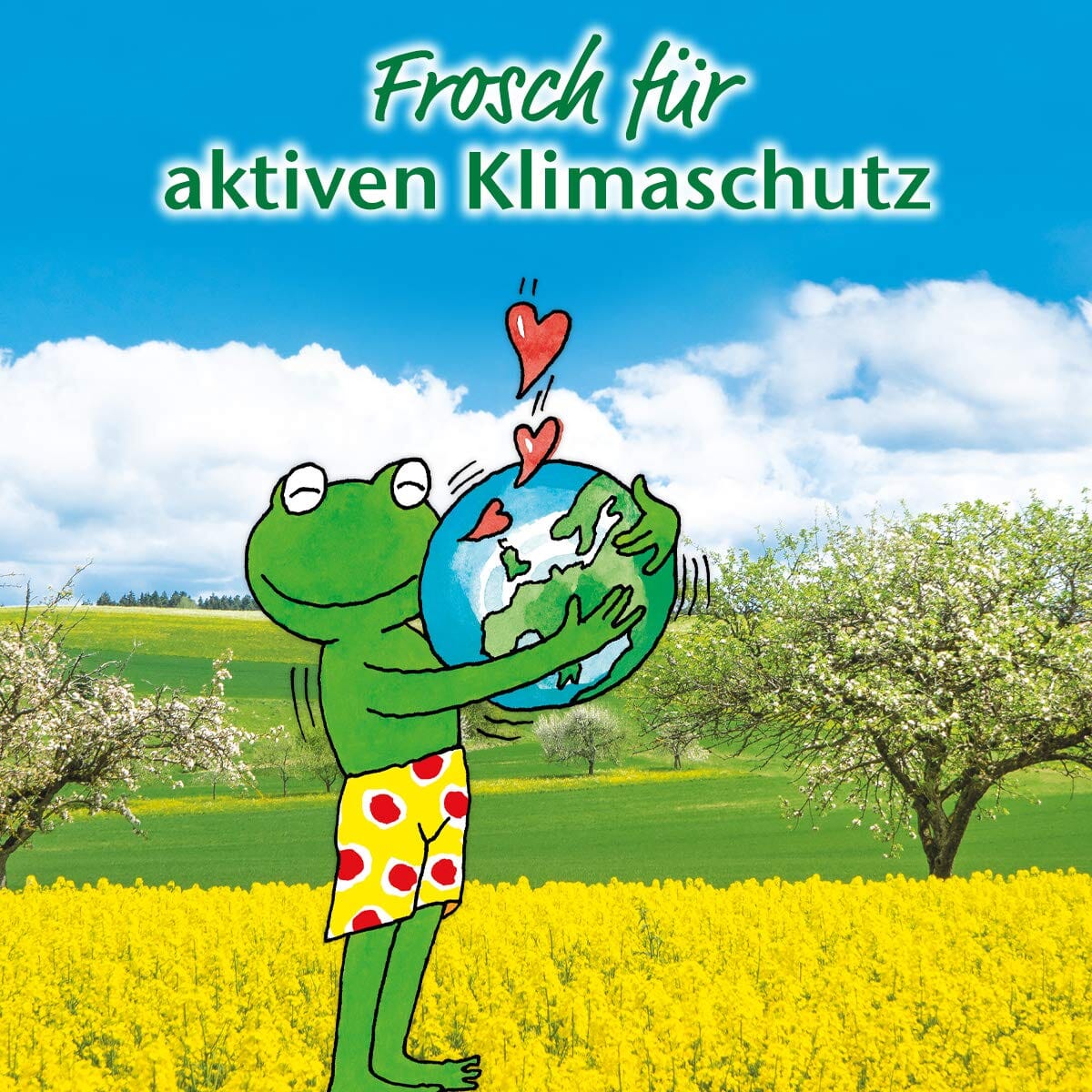 Frosch Dishwashing Liquid - 500 ml (Raspberry) Cleaner Frosch