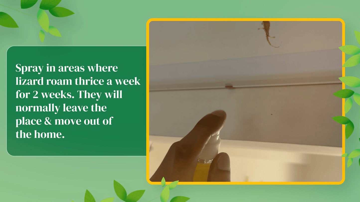 Herbal Strategi Lizard Repellent Spray 100 ML Repellent Herbal Strategi