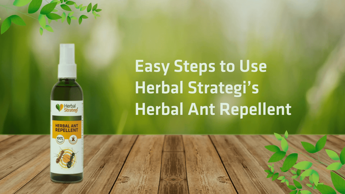 Herbal Strategi Ant Repellent Spray 100 ML Repellent Herbal Strategi