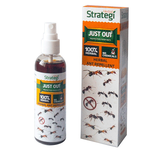 Herbal Strategi Ant Repellent Spray 100 ML Repellent Herbal Strategi