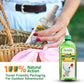 Herbal Strategi Toilet Seat Sanitizer 500 ML Sanitizer Herbal Strategi