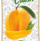 Frujoy Mango Crush 750ml | For Fruit Mocktail | Cocktail | Cake | Baking Essentials | Juices | Beverages Crush Frujoy