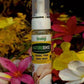 Herbal Strategi Foam Hand Wash Refill 500 ML Better Homes Herbal Strategi