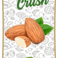 Frujoy Badam Crush 750ml | For Fruit Mocktail | Cocktail | Cake | Baking Essentials | Juices | Beverages Crush Frujoy