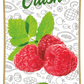 Frujoy Raspberry Crush 750ml | For Fruit Mocktail | Cocktail | Cake | Baking Essentials | Juices | Beverages Crush Frujoy