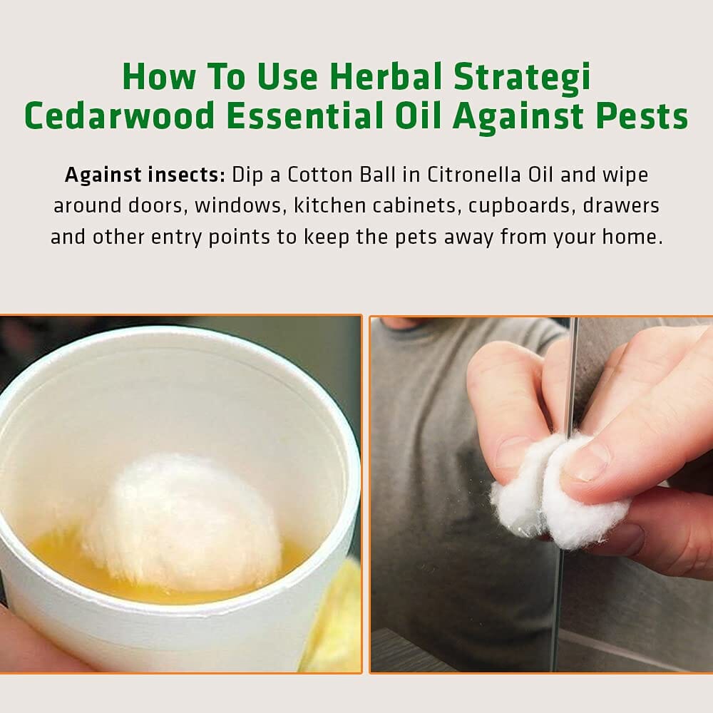 Herbal Strategi Cedarwood Essential Oil 15 ML | Devadaar Oil Repellent Herbal Strategi