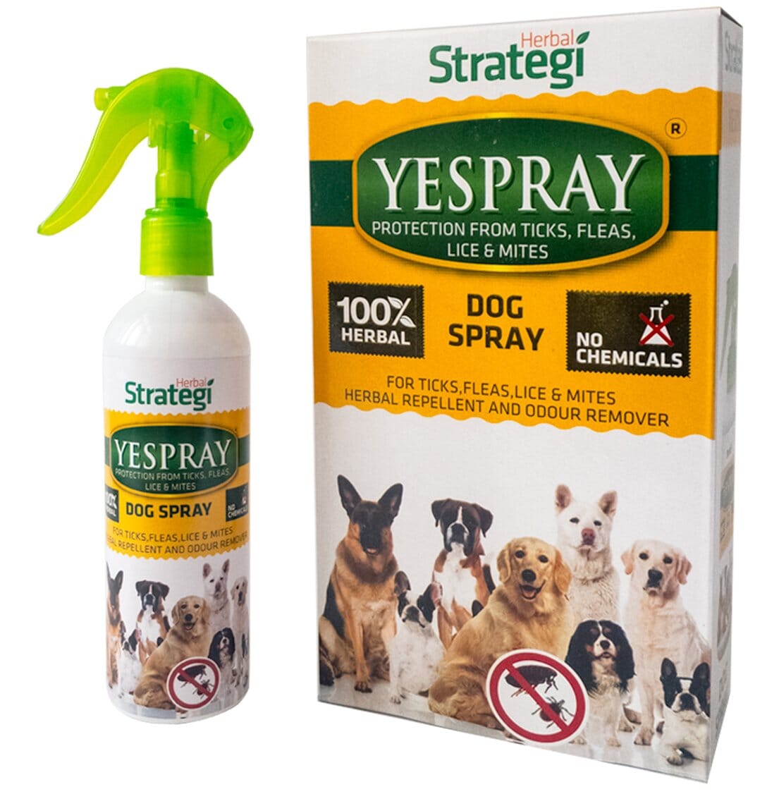 Herbal Strategi Dog Spray Yespray Protection From Ticks , Fleas, Lice And Mites For Dogs 100 ML Better Homes Herbal Strategi